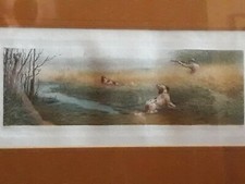 Litografia incisione colori usato  Valenza