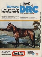 1973 harness horse for sale  Toledo