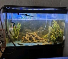 Cabinet aquarium 4ft for sale  TELFORD