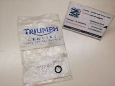 T1240806 originale triumph usato  Conversano