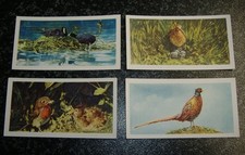 Brooke bond british for sale  LEIGHTON BUZZARD