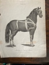 Antique 1805 book for sale  BRADFORD