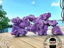 Ark purple dry for sale  Marathon