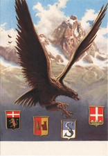 Alpini reggimento alpini usato  Rovigo
