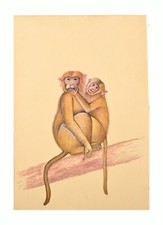 Pintura De Mono Macaco Madre E Hijo Indio 8.8 X 6 Pulgadas "PN13374" comprar usado  Enviando para Brazil