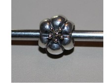 pandora bicolour gebraucht kaufen pandora bicolour gebraucht kaufen Ratekau
