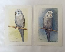 Vintage 1983 budgie for sale  LINCOLN