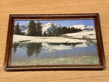 Bilderrahmen bild holzrahmen gebraucht kaufen  Singen (Hohentwiel)