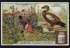I132 liebig werbebild gebraucht kaufen  Hürth