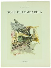 Sole lombardia. titta usato  Villarbasse