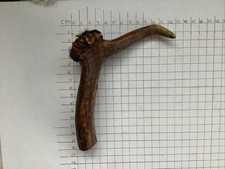 Deer antler walking for sale  BOGNOR REGIS