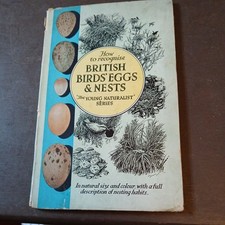 British birds eggs for sale  ST. LEONARDS-ON-SEA