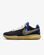 Basket nike lebron d'occasion  Wasquehal