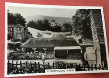 South downs oak for sale  SKIPTON