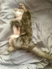 Hansa kangaroo puppet for sale  Keenesburg