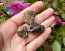 Lot staurolite staurotide d'occasion  Lagnieu