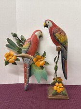 Beautiful tropical parrot for sale  Johnson City