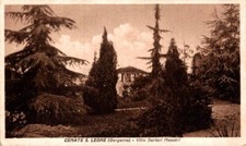 Bergamo cenate leone usato  Asti