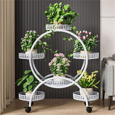 Elegant white plant for sale  LOUGHBOROUGH