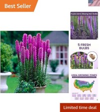 Fresh liatris spicata for sale  Los Angeles