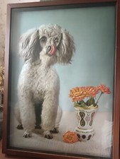 Art nova rico usato  Racale