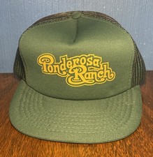 Vintage ponderosa ranch for sale  Tower City