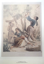 Illustration provence nice d'occasion  Martigues
