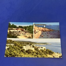 Pula verudela cartolina usato  Bari
