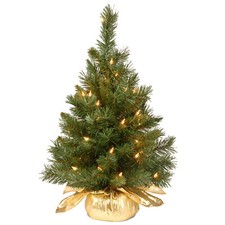 National tree company for sale  Lincoln