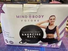 Exercise ball extra for sale  Trabuco Canyon