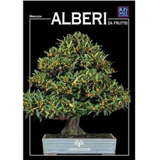 Manuale bonsai guida usato  Roma