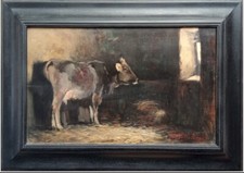 Rontini ferruccio vitello usato  Guidonia Montecelio