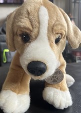 Keel doodle dogs for sale  PETERBOROUGH