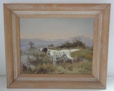 Vintage english setter for sale  Henderson