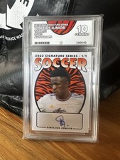 super tigre for sale  DOVER