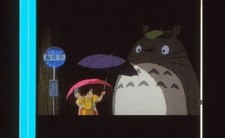 Pellicola neighbor totoro usato  Pescara