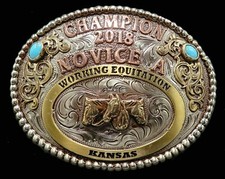 Champion 2018 novice d'occasion  Expédié en Belgium