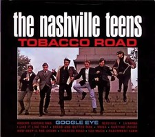 The nashville teens gebraucht kaufen  Berlin