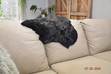 Real english sheepskin for sale  Belding