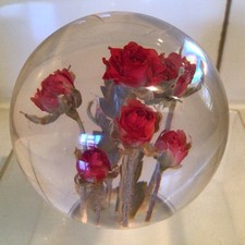 Lucite acrylic hippocampus for sale  THORNTON-CLEVELEYS