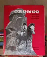 Orongo fanciullo dell usato  Milano