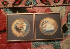 Pair framed watercolor for sale  Caldwell