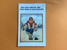 U.k. frisky fleas for sale  BEXHILL-ON-SEA