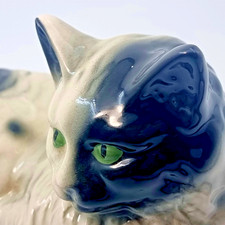 Black white cat for sale  ENFIELD