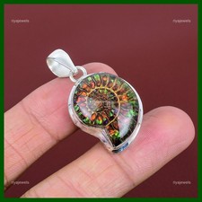 Ammolite ammonite fossil d'occasion  Expédié en Belgium
