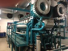 Wärtsilä gas bhkw gebraucht kaufen  Deutschland