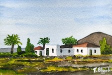 Riginal aquarell insel gebraucht kaufen  Düsseldorf