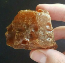 Bernstein amber gramm gebraucht kaufen Bernstein amber gramm gebraucht kaufen  Tübingen