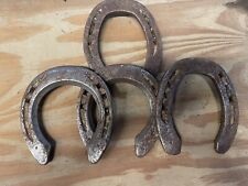 Real lucky horse for sale  SUNDERLAND
