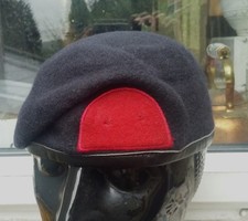 Royal marines training for sale  BRENTWOOD